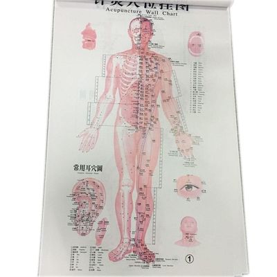 Akupunktur Duvar Tablosu Set Başına 7 ADET İnsan Akupunktur Tablosu