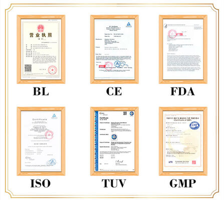 İnsan Vücudunun Detaylı ve Canlı Temsil Edilmesi Akupunktur Vücut Modeli Taşınabilir Hafif Ve Taşınabilir Tıp Eğitimi İçin