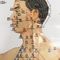 3 adet Meridyen Akupunktur Tablosu ISO Akupunktur Kültürü