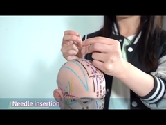 Hwato Kulağı Akupunkturu İğneler Etkili Kan Dolaşımını Artıran 0.22 * 1.5mm